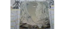 Vinyle LP 33T Yes Relayer de 1974