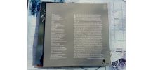 Vinyle  Steve Forbert - Little Stevie Orbit - EO de 1980
