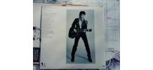 Vinyle Steve Forbert - Alive on arrival - EO de 1978