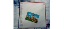 Vinyle Steve Forbert Jackrabbit Slim de 1981 et 45T oil song