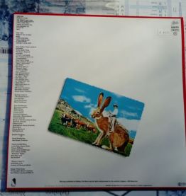 Vinyle Steve Forbert Jackrabbit Slim de 1981 et 45T oil song