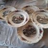 assiettes  alsaciennes