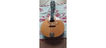 bandjo  Bouzouki Jim Harley MA10IM HARLEY MD10