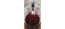 bandjo  Bouzouki Jim Harley MA10IM HARLEY MD10