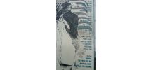 Double vinyle Bruce Springsteen The river EO 1980