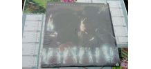 Vinyle LP Southside Johnny Jukes I Dont Want To Go Home
