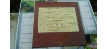 Vinyle LP Klaus Schulze Timewind EO de 1975
