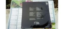Status Quo - Hello - vinyle LP  EO 1973