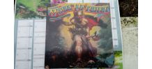 Vinyle Lp Mollyhatchet Flirting With Disaster - Eo De 79