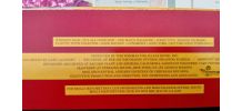 Vinyle Lp Mollyhatchet Flirting With Disaster - Eo De 79