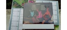 Vinyle Morris Farrel Bits Of Percusion And Jazz de 79
