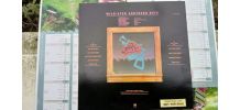 Vinyle 38 special - Wild-Eyed Southern Boys de 1981