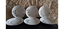 6 assiettes à dessert porcelaine motif fleuri