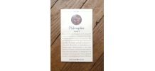 Philosopher- Tome 1- Christian Delacampagne- Agora 