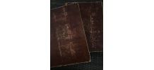 Album de la guerre 1914 1919