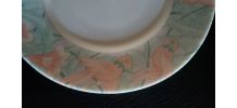 6 assiettes Arcopal blanches motifs rose et bleu