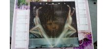 Vinyle Camel Rain Dances EO 1977
