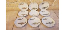 Set de 9 assiettes forme coquillage en porcelaine 
