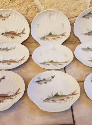 Set de 9 assiettes forme coquillage en porcelaine 