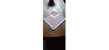 Foulard Pierre Cardin