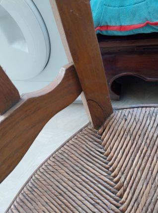 Lot 6 chaises à moustaches