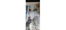 Puzzles Willeb 1960