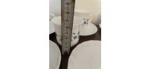 6 tasses Arcopal myosotis Veronica 