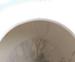 Vase blanc en faïence