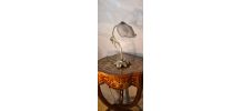 Lampe bronze petale verre moulé art nouveau 28x34