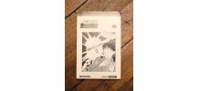 FullMetal Alchemist- Tome 1- Hiromu Arakawa- Kurokawa  
