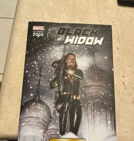 Black Widow, D. Grayson (Ref. 2024-273)