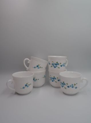 6 tasses myosotis veronica