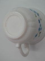 6 tasses myosotis veronica