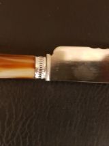 Couteau de service à dents dans son écrin vintage
