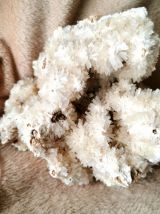 Corail Blanc Fossilisé – 1,628 kg