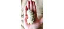 Quartz Cristal de Roche Blanc - Pierre minéral naturel brut 