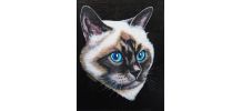 Portrait de chat. Peinture chat birman aux yeux bleus. Repro