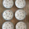 Lot 6 assiettes- UML