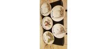 5 assiettes motifs oiseaux en porcelaine Bavaria