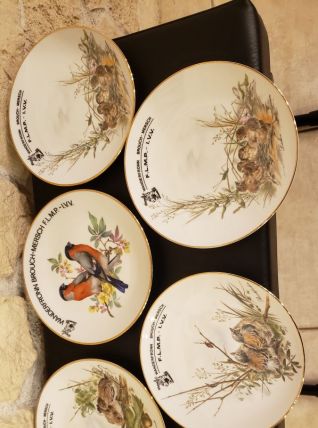5 assiettes motifs oiseaux en porcelaine Bavaria