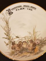 5 assiettes motifs oiseaux en porcelaine Bavaria