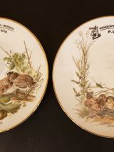5 assiettes motifs oiseaux en porcelaine Bavaria