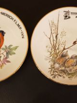 5 assiettes motifs oiseaux en porcelaine Bavaria