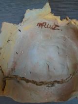 Masque enfant feuilles de vignes terre cuite peinte
