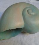 Coquillage Nautilus en céramique peinte, pièce unique