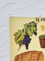 Panneau pédagogiques sur le vin