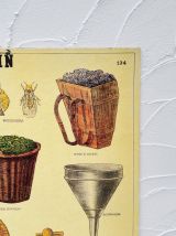 Panneau pédagogiques sur le vin