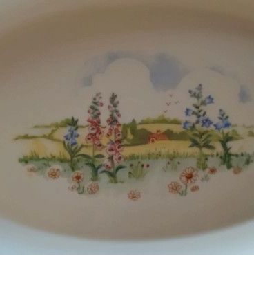 Plat en opaline Arcopal