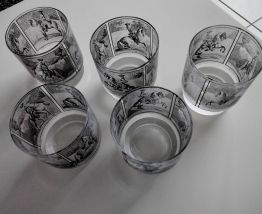 5 Verres à Whisky 