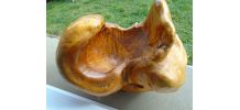 Sculpture chinoise moisissure champignon vide poche